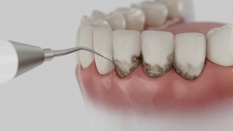 Reliable Dental contractor in Traill County County, ND by Dentist Open Now
